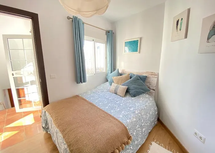 The Orquids - Bluewater *