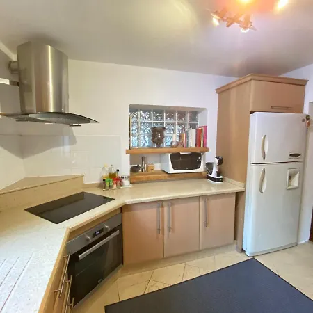 Willa The Orquids - Bluewater *