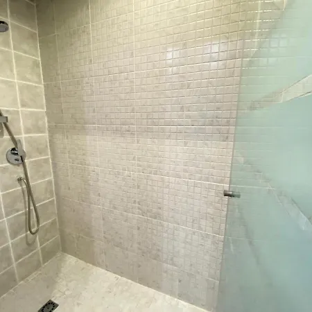 The Orquids - Bluewater Willa *