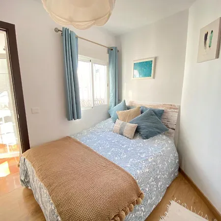 The Orquids - Bluewater *