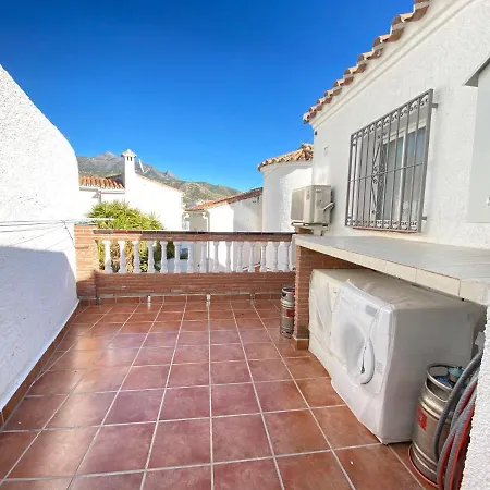 The Orquids - Bluewater Willa