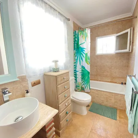 The Orquids - Bluewater Willa *