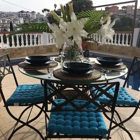 The Orquids - Bluewater *