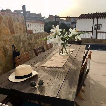 Willa The Orquids - Bluewater *