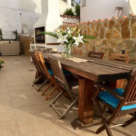 The Orquids - Bluewater Willa